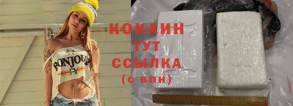 стафф Алексин